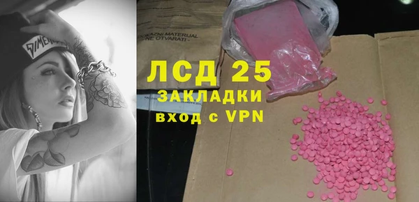 стаф Алексин