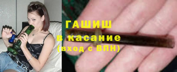 стаф Алексин