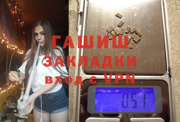 стаф Алексин