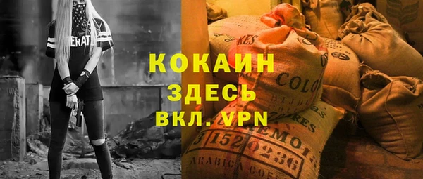 стаф Алексин